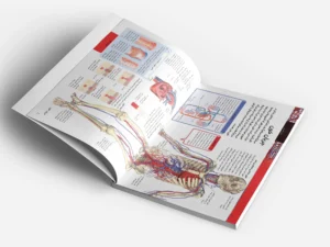 جديد ترين دايره المعارفبدن انسان