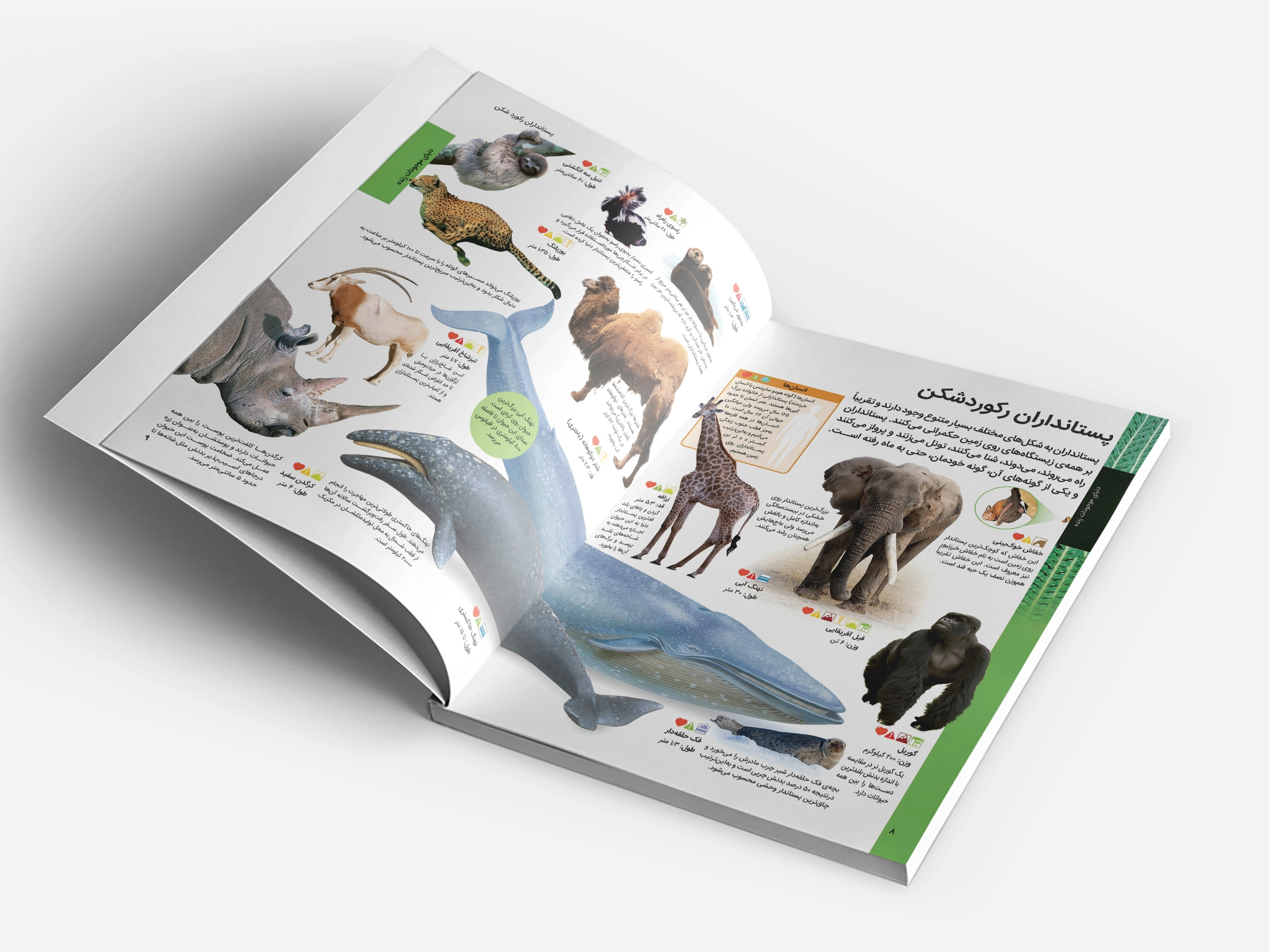 جدیدترین دایره المعارف حيوانات جهان 6 صفحهای از دایرهالمعارف حیوانات درباره حیات وحش در جنگلهای استوایی